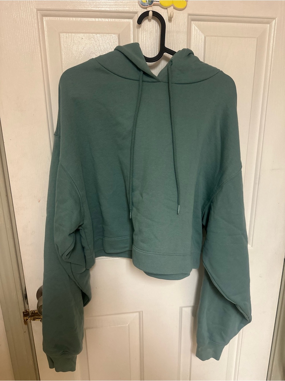 ALO Yoga Cropped Hoodie in Sage
